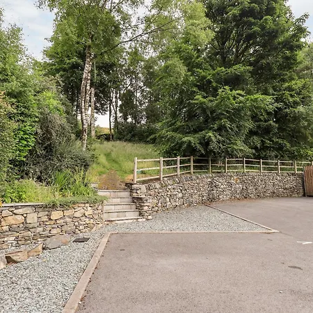 Deer Wood At Applethwaite Hall